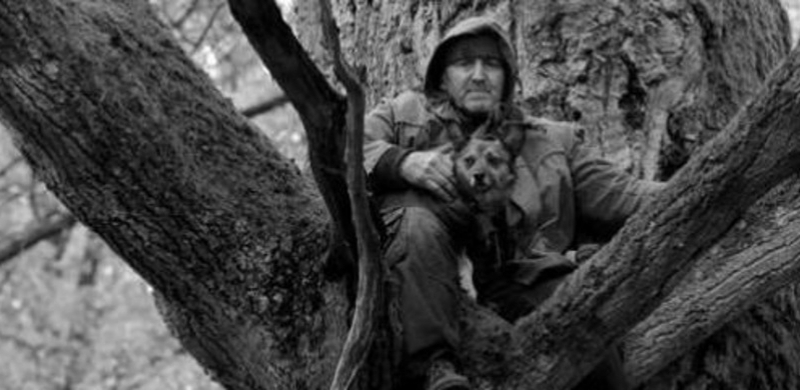 "Las, 4 rano". Nowy film Jana Jakuba Kolskiego w Gdyni