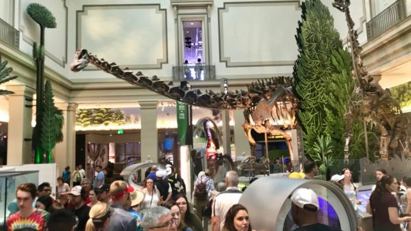 Muzeum Historii Naturalnej w Waszyngtonie 