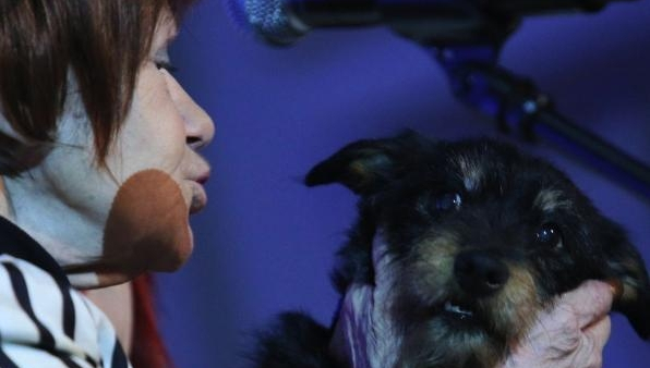 Gwiazdy zaśpiewały charytatywnie w Filharmonii Krakowskiej