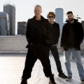 Sting wraca do Polski. Artysta zagra u nas aż cztery koncerty