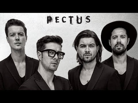 Pectus i Pawlik akustycznie