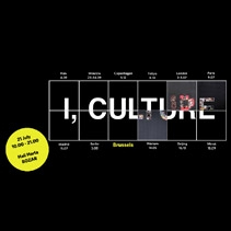 Już dziś odsłona I, Culture Puzzle w Brukseli