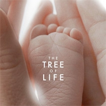 "Drzewo życia" i "Nie opuszczaj mnie" od piątku w kinach