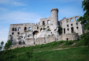 Zdjęcie