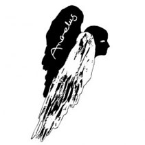 Siedem książek w finale Angelusa