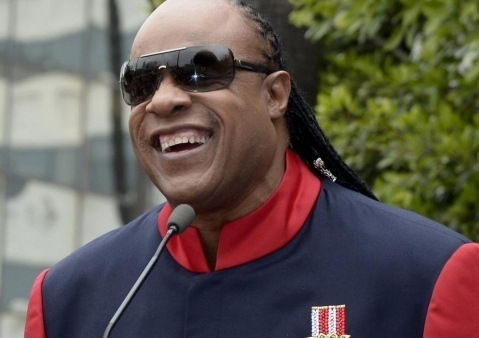 Szukają następcy Stevie Wondera