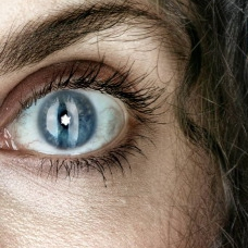 Zakończył się 15. Warszawski Festiwal Filmów o Tematyce Żydowskiej