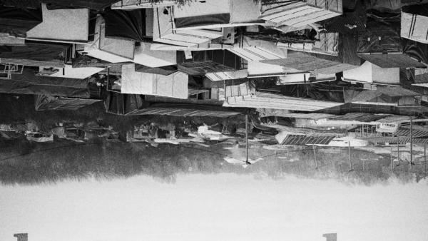 Filmy Gutek Film w Konkursie Głównym festiwalu w Cannes: Haneke, Ozon, Akin, Mundruczó