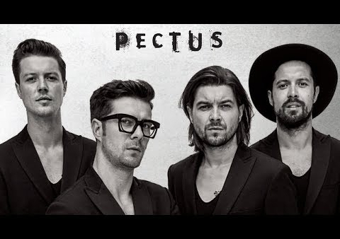 Pectus i Pawlik akustycznie