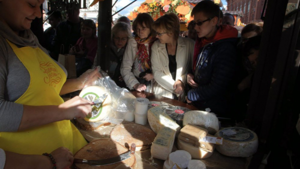 Wszystko, co warto wiedzieć o camembercie