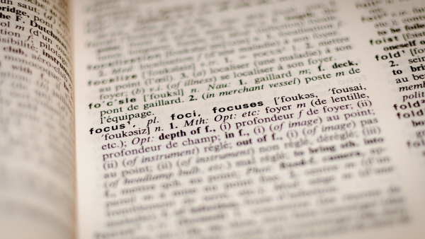 Trwa plebiscyt Słowo Roku 2017