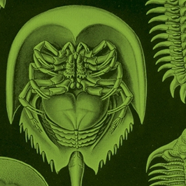 Karpowicz i Kamiński laureatami literackiej nagrody im. Kazaneckiego