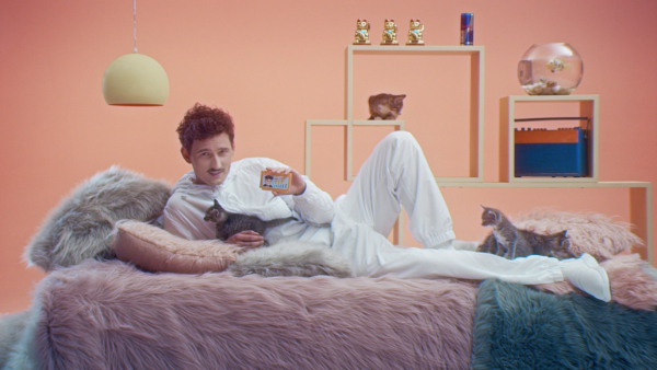 Kto ukradł Dawidowi Podsiadło jego hity i co mają z tym wspólnego koty? 