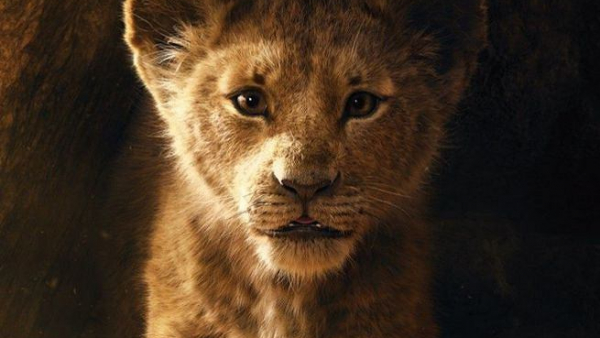 Filmowy powrót Króla... Lwa