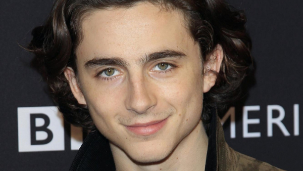 Timothee Chalamet zagra Boba Dylana w nowym filmie Jamesa Mangolda