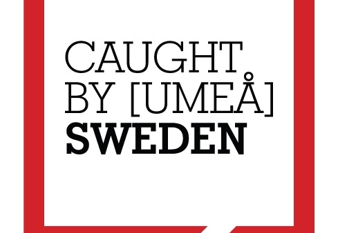 Osiem prac z Polski w półfinale konkursu Artists Caught by [Umea]