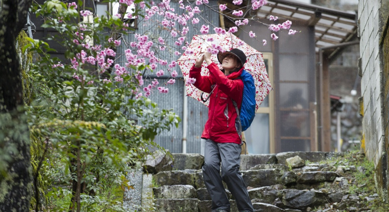 Japonia - turystyczny klejnot blogerów podróżniczych