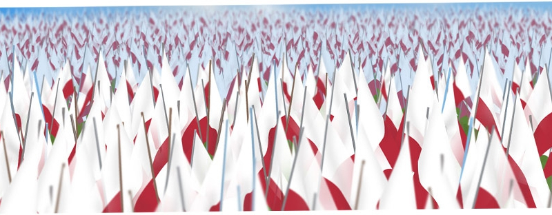 10 tysięcy flag od RMF FM! Wielka akcja na krakowskich Błoniach z okazji Dnia Flagi