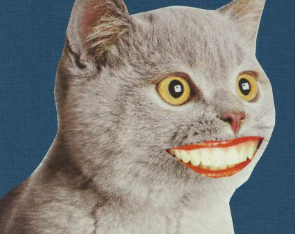 50 kolaży Szymborskiej i Muller na wystawie w Gdańsku