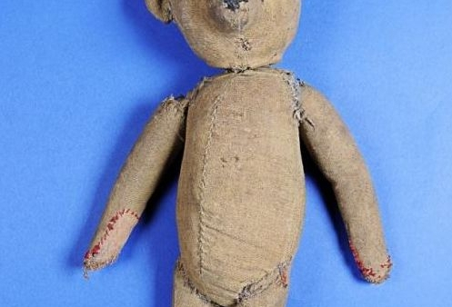 Wystawa misiów w zielonogórskim muzeum