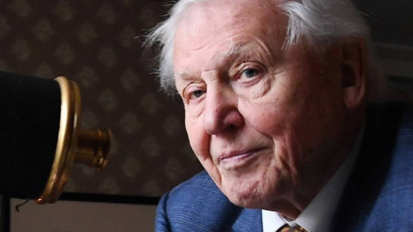 Sir David Attenborough założył konto na Instagramie