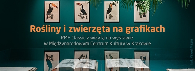 Rośliny i zwierzęta na grafikach