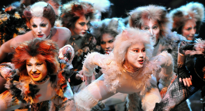 Musical "Koty" trafi na ekrany kin
