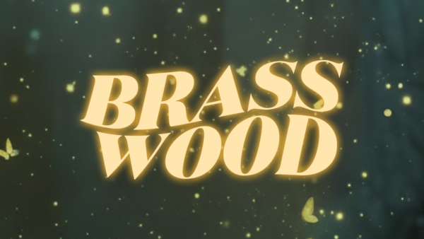 Nowa, filmowa odsłona znanego festiwalu w Operze Leśnej - Brasswood Soundtracks