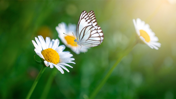 Majówka w RMF Classic