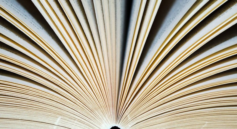 W małej wsi niedaleko Kielc działa Dom Spokojnej Książki