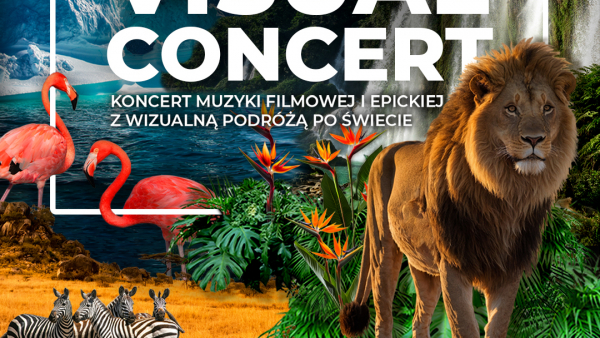 Płock – Visual Concert 4