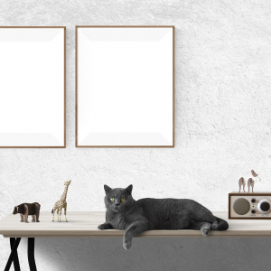 Farby tablicowe – nowe narzędzie do kreatywnego wystroju wnętrza