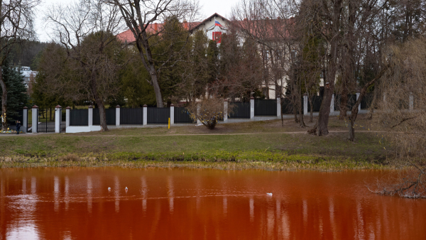 Staw w pobliżu rosyjskiej ambasady na Litwie „zmienił” barwę na czerwoną. Wypowiedź pływaczki olimpijskiej