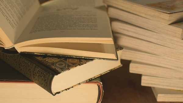 Tramwaj Zwany Zaczytaniem wyjechał na ulice Szczecina