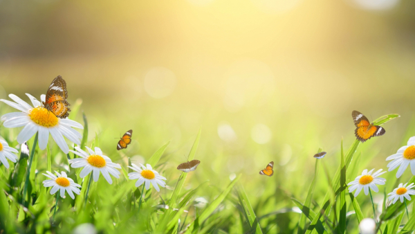 Majówka w RMF Classic