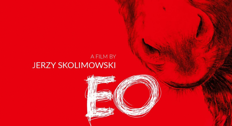 Rozmowa Magdaleny Juszczyk z Jerzym Skolimowskim, reżyserem filmu "IO"