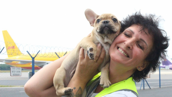 Marta Gawęcka - to ona opiekuje się podróżującymi samolotem zwierzętami!