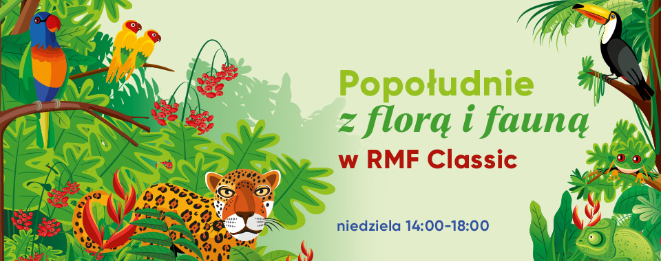 Popołudnie z florą i fauną 
