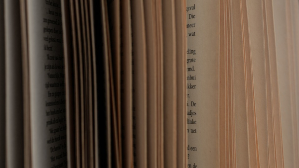 "Jednorazowego użytku" - słowo 2018 roku