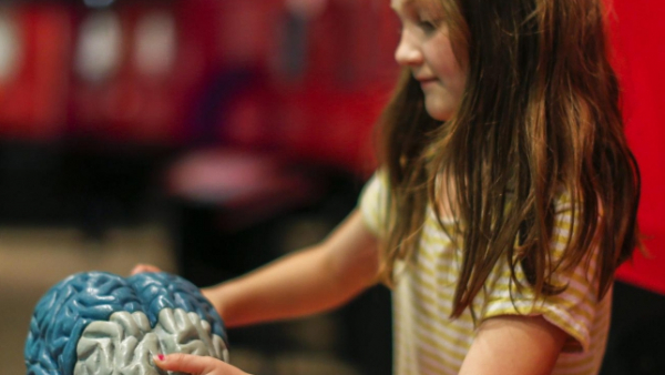 Ludzki mózg - pojemne archiwum