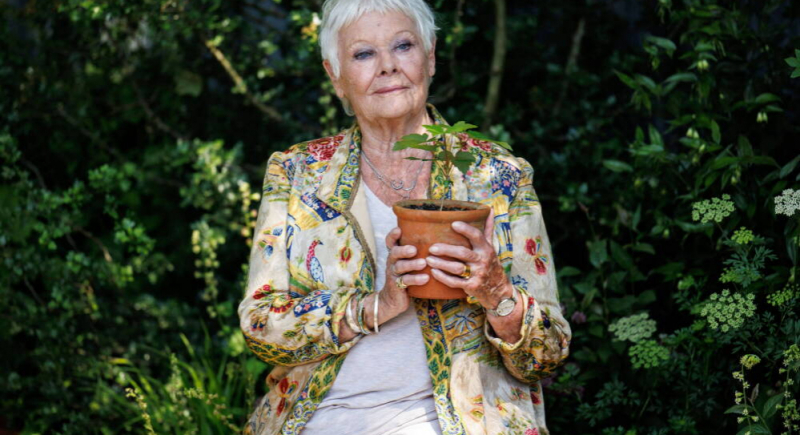 Judi Dench poprowadzi własny program telewizyjny? Pierwszy odcinek czeka na premierę