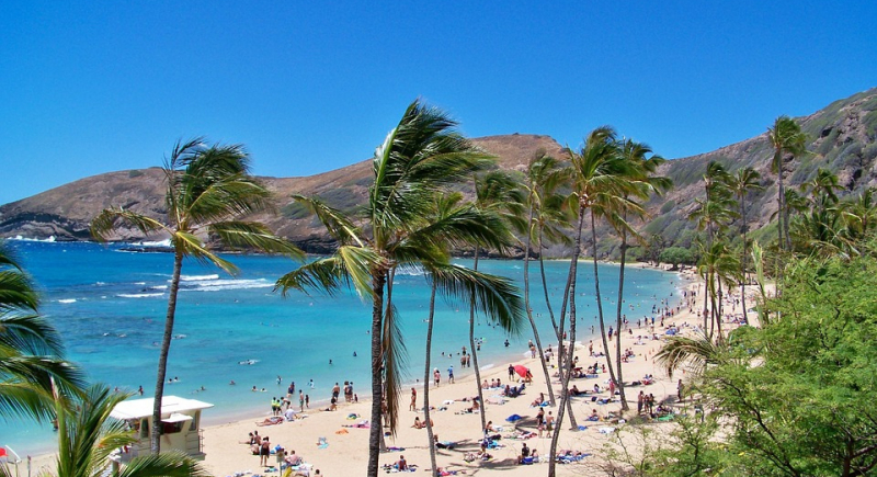 Hawaje zakazują olejków do opalania