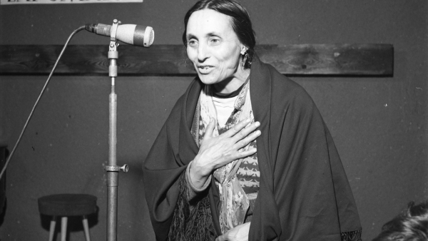 Powstanie Instytut Papuszy