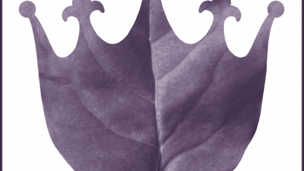 Nowa instytucja kultury - Polska Opera Królewska