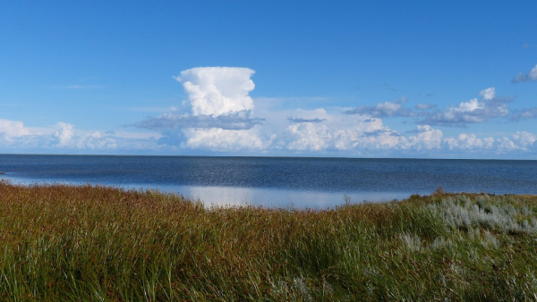 Para Polaków wygrała darmowy pobyt na wyspie należącej do szwedzkiego pisarza
