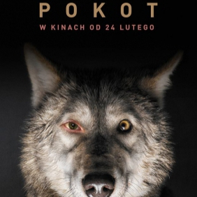 "Pokot" w drodze po Oscara 