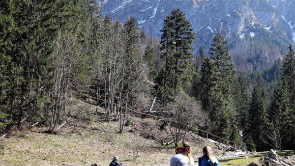 Polacy mają dość izolacji. Co trzeci w najbliższych tygodniach planuje wyjazd