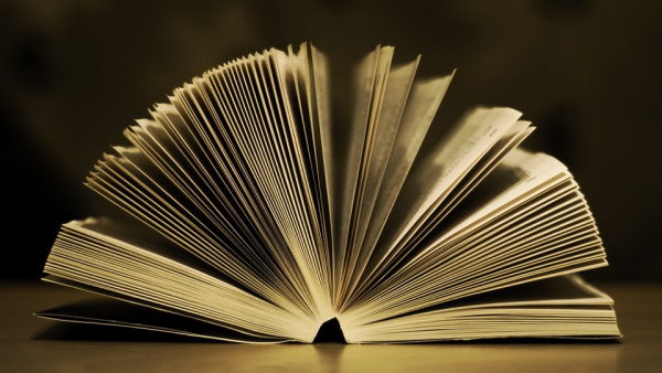 Rekordowa saga: autor pisał ją codziennie przez 60 lat