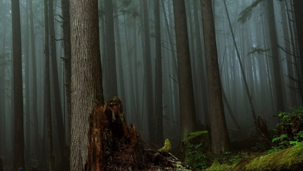 „Alone: przetrwać najdłużej” – najśmielszy survivalowy eksperyment w historii telewizji