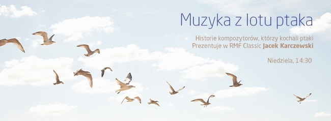 Muzyka z lotu ptaka